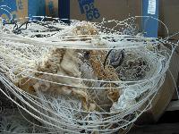Cross Linked Polyethylene