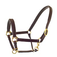 Head Collar