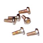 Torx Screw