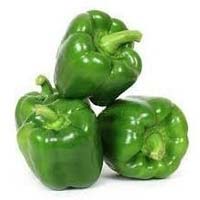 Green Capsicum
