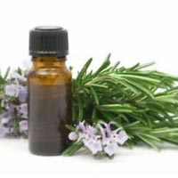 Rosemary Oleoresin