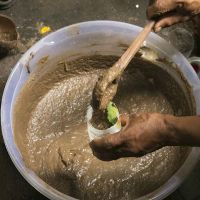 Panchagavya Fertilizers