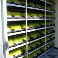 Hydroponic Fodder Machine