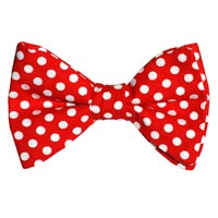 Dotted Bow Tie