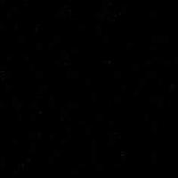 Absolute Black Granite Tiles