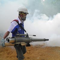 Smoke Pest Control Services