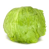 Lettuce Iceberg