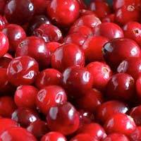 Fresh Cranberries
