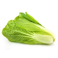 Romaine Lettuce