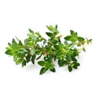 Thyme Leaves