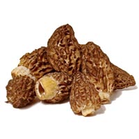 Wild Morels