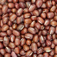 Adzuki Beans