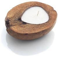 Coconut Candle