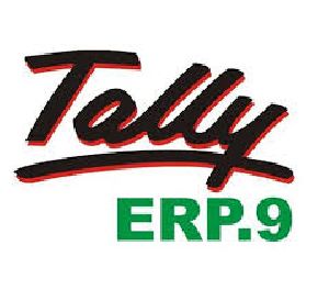 Tally Training