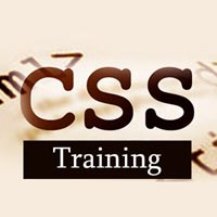 CSS Training