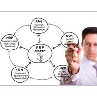 ERP Consulting