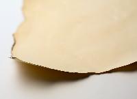 Antique Paper