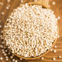 Quinoa Seeds