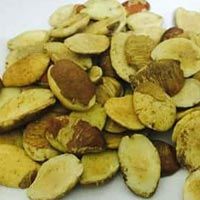 Brachystegia Eurycoma Seeds
