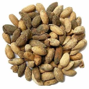 Neem Kernel