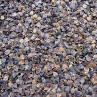 Buckwheat Hull