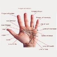 Palmistry Services