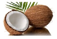 Mature Coconut