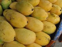 Dashehari Mango