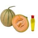 Musk Melon Oil