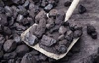 South African Coal