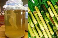 Sugarcane Vinegar