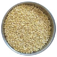 Organic Foxtail Millet