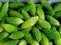 Organic Bitter Gourd