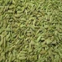 Organic Fennel Seeds