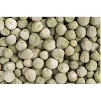 Pea Seeds