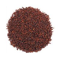 Red Mustard Seeds