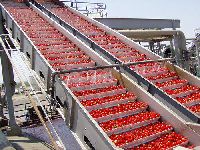 Tomato Puree Processing Plant