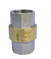 Vertical Check Valve