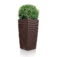 Wicker Planter
