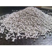 Lactic Acid Bacillus