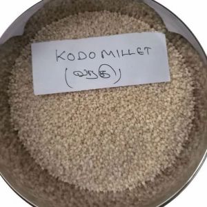 Kodo Millet