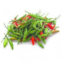 Bird Eye Chilli
