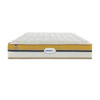 SPRINGFIT Bed Mattress