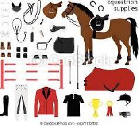 Horse Accessories