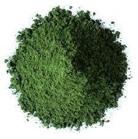 Chlorella Powder