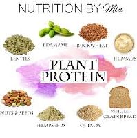 Plant Protein