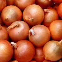 Brown Onion