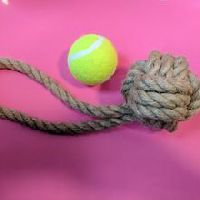 Pet Dog & Puppy Chew Rope Toy