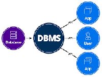 Data Management Systems