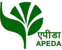 APEDA Registration